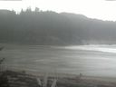 ./images/calvert/beach/20170317/beach20170317_114502.jpg