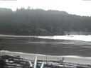 ./images/calvert/beach/20170318/beach20170318_111003.jpg