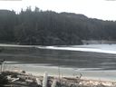./images/calvert/beach/20170320/beach20170320_113502.jpg