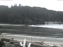 ./images/calvert/beach/20170320/beach20170320_133501.jpg