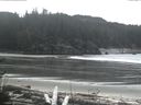 ./images/calvert/beach/20170320/beach20170320_134002.jpg