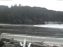 ./images/calvert/beach/20170320/beach20170320_134501.jpg