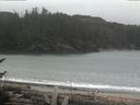 ./images/calvert/beach/20170324/beach20170324_104502.jpg