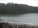 ./images/calvert/beach/20170326/beach20170326_111003.jpg