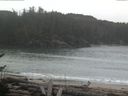 ./images/calvert/beach/20170326/beach20170326_112002.jpg