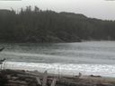 ./images/calvert/beach/20170326/beach20170326_115502.jpg
