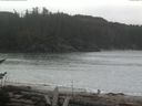 ./images/calvert/beach/20170326/beach20170326_121002.jpg