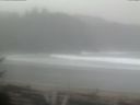 ./images/calvert/beach/20170328/beach20170328_105503.jpg