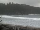 ./images/calvert/beach/20170328/beach20170328_151501.jpg