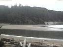 ./images/calvert/beach/20170331/beach20170331_111002.jpg