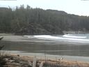 ./images/calvert/beach/20170401/beach20170401_082002.jpg