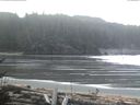 ./images/calvert/beach/20170402/beach20170402_112501.jpg