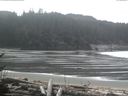 ./images/calvert/beach/20170402/beach20170402_122502.jpg