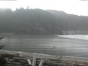 ./images/calvert/beach/20170402/beach20170402_124002.jpg