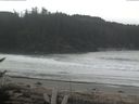 ./images/calvert/beach/20170404/beach20170404_091503.jpg