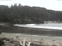 ./images/calvert/beach/20170404/beach20170404_113502.jpg