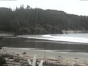 ./images/calvert/beach/20170404/beach20170404_114503.jpg