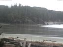 ./images/calvert/beach/20170406/beach20170406_171002.jpg