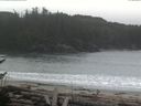 ./images/calvert/beach/20170407/beach20170407_100003.jpg