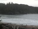 ./images/calvert/beach/20170407/beach20170407_105002.jpg