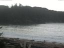 ./images/calvert/beach/20170407/beach20170407_111502.jpg