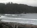 ./images/calvert/beach/20170407/beach20170407_115002.jpg