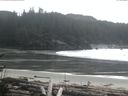 ./images/calvert/beach/20170407/beach20170407_155503.jpg