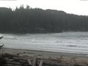 ./images/calvert/beach/20170408/beach20170408_102002.jpg