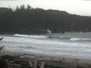 ./images/calvert/beach/20170408/beach20170408_110503.jpg