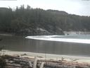 ./images/calvert/beach/20170408/beach20170408_155503.jpg