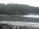 ./images/calvert/beach/20170409/beach20170409_073003.jpg