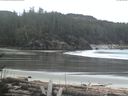 ./images/calvert/beach/20170409/beach20170409_080501.jpg