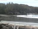 ./images/calvert/beach/20170409/beach20170409_082003.jpg