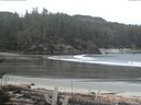 ./images/calvert/beach/20170409/beach20170409_084002.jpg