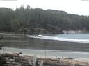 ./images/calvert/beach/20170409/beach20170409_085001.jpg