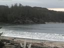 ./images/calvert/beach/20170409/beach20170409_114002.jpg