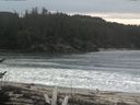 ./images/calvert/beach/20170409/beach20170409_121002.jpg