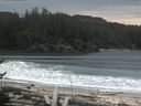 ./images/calvert/beach/20170409/beach20170409_122001.jpg
