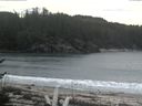 ./images/calvert/beach/20170409/beach20170409_133503.jpg