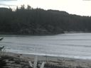 ./images/calvert/beach/20170409/beach20170409_140502.jpg
