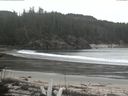 ./images/calvert/beach/20170409/beach20170409_160502.jpg