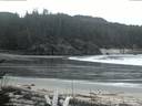 ./images/calvert/beach/20170409/beach20170409_202503.jpg
