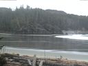 ./images/calvert/beach/20170410/beach20170410_074501.jpg
