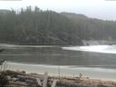 ./images/calvert/beach/20170410/beach20170410_082502.jpg