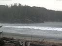 ./images/calvert/beach/20170410/beach20170410_115002.jpg