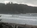 ./images/calvert/beach/20170410/beach20170410_124003.jpg
