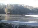 ./images/calvert/beach/20170411/beach20170411_090002.jpg