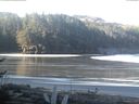 ./images/calvert/beach/20170411/beach20170411_090502.jpg
