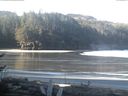 ./images/calvert/beach/20170411/beach20170411_091001.jpg