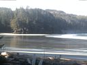 ./images/calvert/beach/20170411/beach20170411_092002.jpg